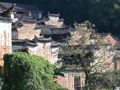 -杨家堂村