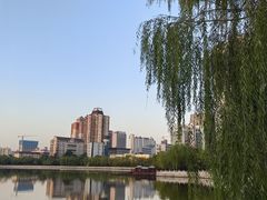 -迎泽公园