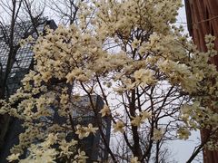 -北京八中游泳馆