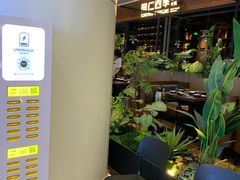 -同仁四季椰子鸡(宝安壹方城店)