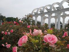 -松山湖南湖湾露营营地