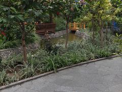 -南宫五洲植物乐园