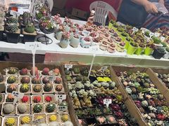 -沙洲路步行街(长安南路店)