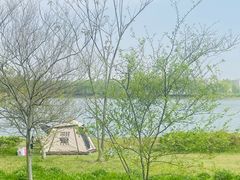 -长广溪湿地公园