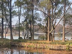 -东湖落雁景区