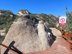 -大岭沟猕猴桃谷风景区