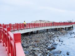 -养马岛旅游度假区