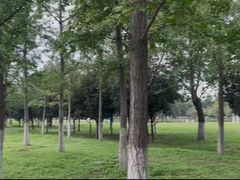 -汉长安城未央宫国家考古遗址公园