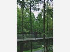 -黄海国家森林公园