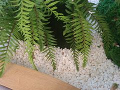 -马家斑.鲜鱼火锅(松湖万科店)