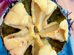 -海胆小馆(东北水饺·春柳店)