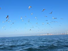 -那香海钻石沙滩浴场