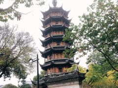 -红梅公园