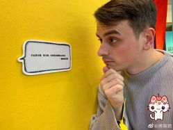 -大麦微针植发丨全国连锁