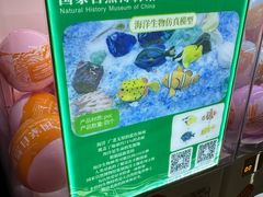 -国家自然博物馆