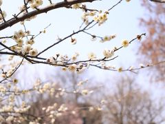 -上海辰山植物园