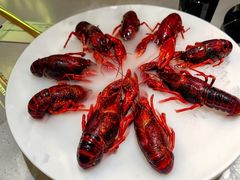 -红盔甲·小龙虾(天钥桥店)