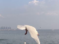 -滇池海埂公园