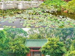 -厦门园林博览苑