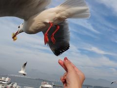 -海埂大坝