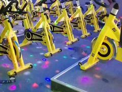 -金吉鸟健身游泳