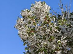 -青岛大学路小学