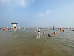 -碧海金沙