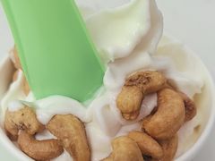 -Salud撒露欧洲冻酸奶(五道口购物中心店)