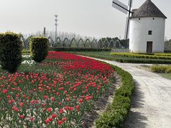 -金卉庄园