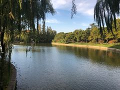 -钓鱼台国宾馆