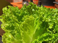 -麻蒲碳烤肉(远景路1号店)