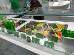 -Salud撒露欧洲冻酸奶(蓝色港湾店)