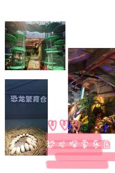 -恐龙探索乐园(磁器口店)