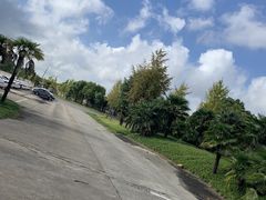 -胜华驾校·小猫学车(银都店)