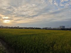 -低涌(地铁站)