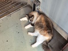 -白兔子密室(长寿路店)