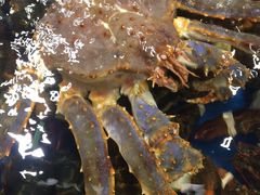 -芦潮港集贸市场