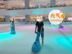 -TheRink大零溜冰场(IFS国金中心店)