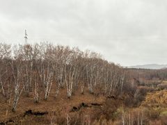 -塞罕坝国家级自然保护区