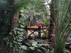 -石家庄市植物园