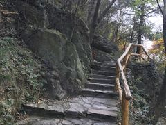 -木兰云雾山