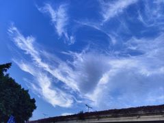 -番禺广场(市桥街道)