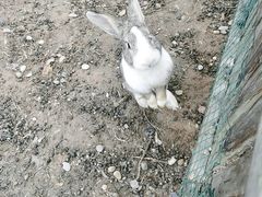 -扬州天乐湖嬉乐谷