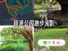 -晓港公园