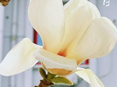 -中国中医科学院西苑医院(本部)