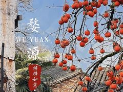 -篁岭景区