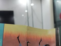 -盐城丹顶鹤湿地生态旅游区