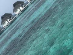 -中央格兰德岛温泉度假酒店 - 全包