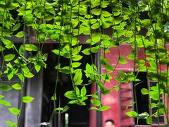 -成都安仁福朋喜来登酒店