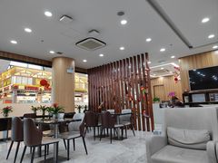 -桃仙机场头等舱休息室